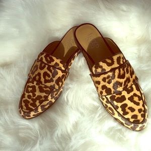 Franco Sarto Cheetah mules brand new!